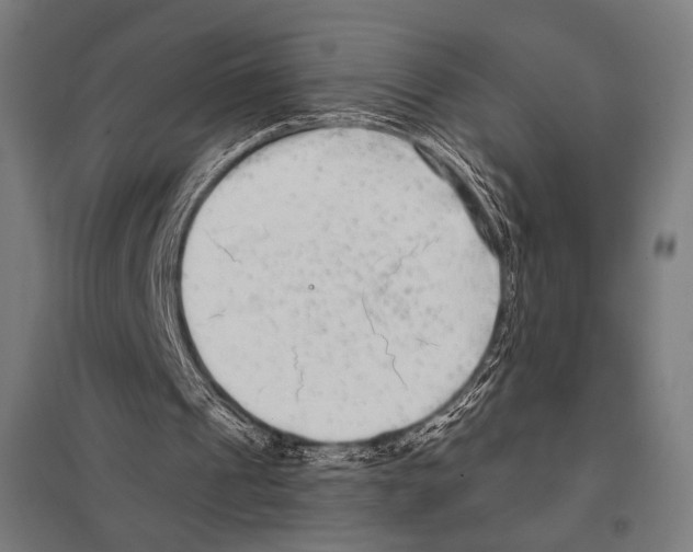 X0000097590241200803280934