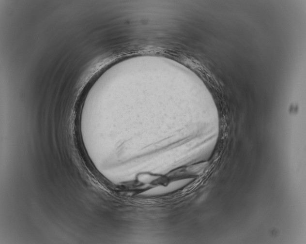 X0000097590242200803280934