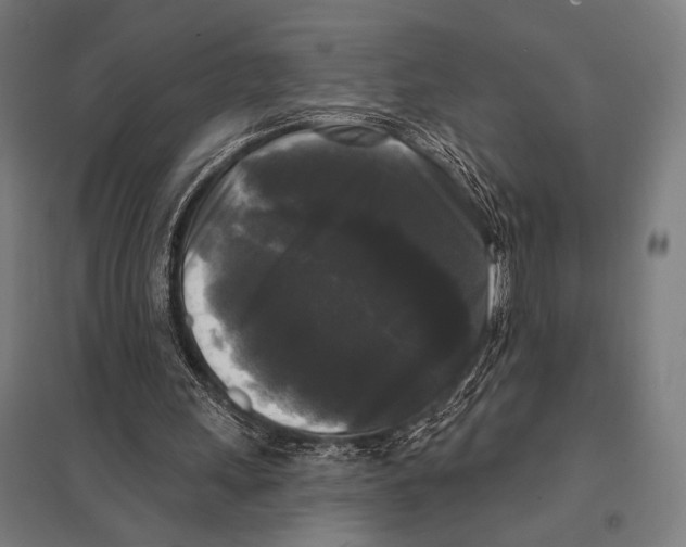 X0000097590243200803280934