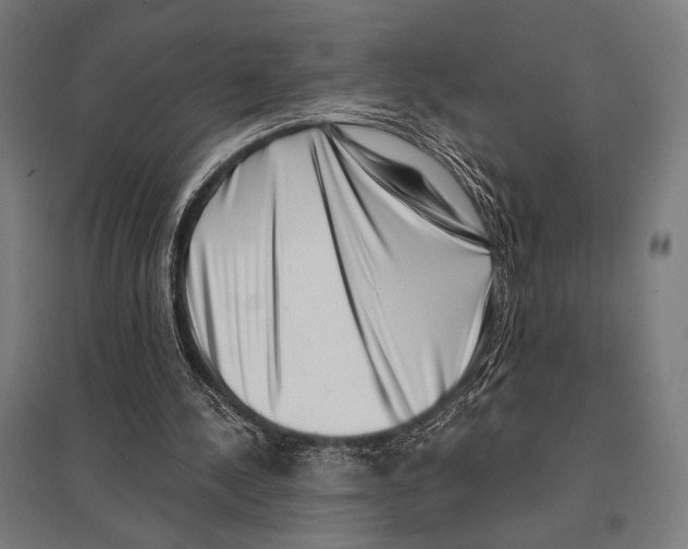 X0000097590244200803280934