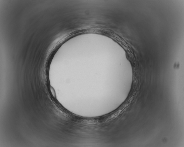 X0000097590245200803280934