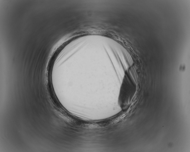 X0000097590246200803280934