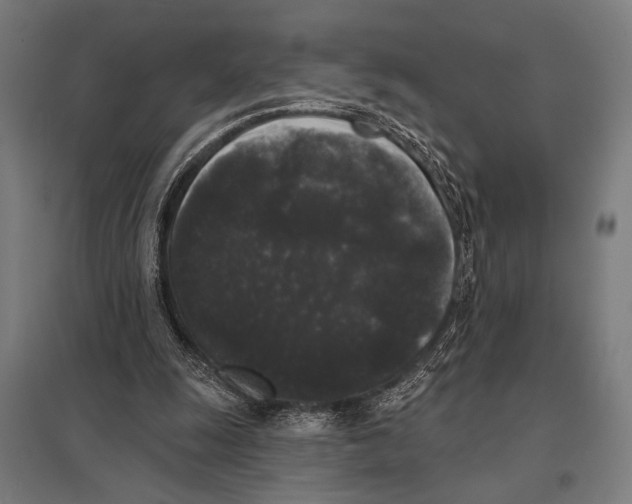 X0000097590247200803280934