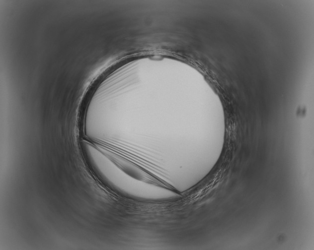 X0000097590248200803280934