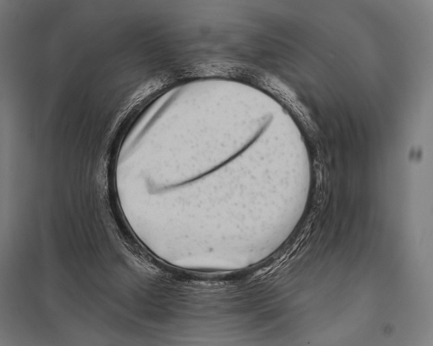 X0000097590250200803280934