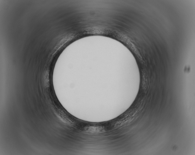 X0000097590251200803280934