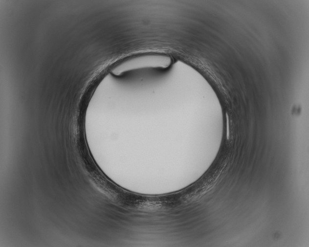 X0000097590252200803280934