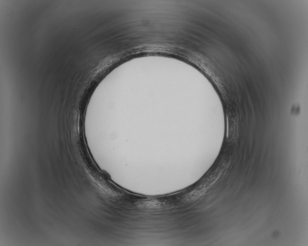 X0000097590253200803280934