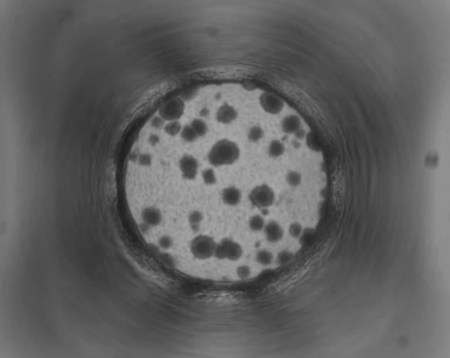 X0000097590254200803280934