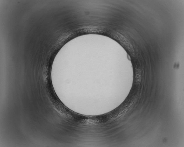 X0000097590255200803280934