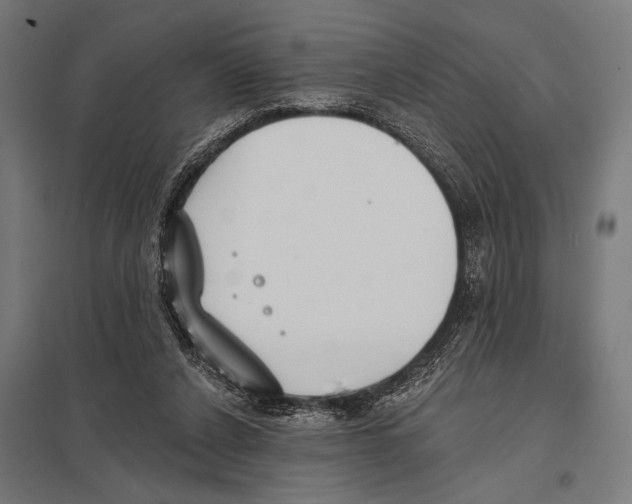 X0000097590256200803280934