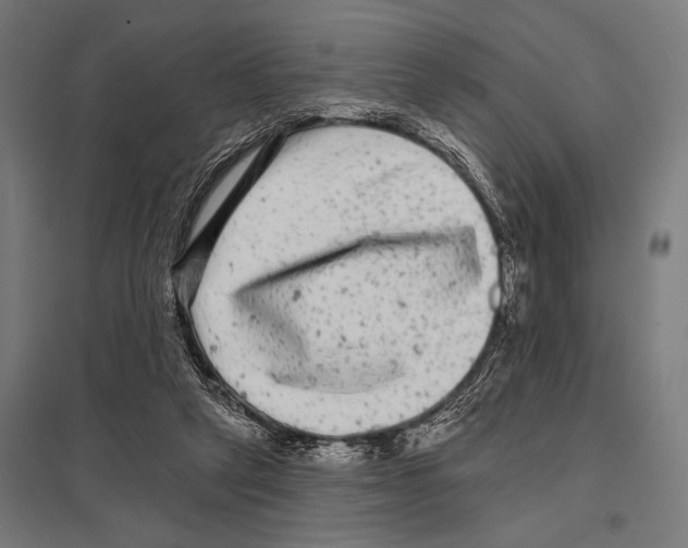 X0000097590257200803280934