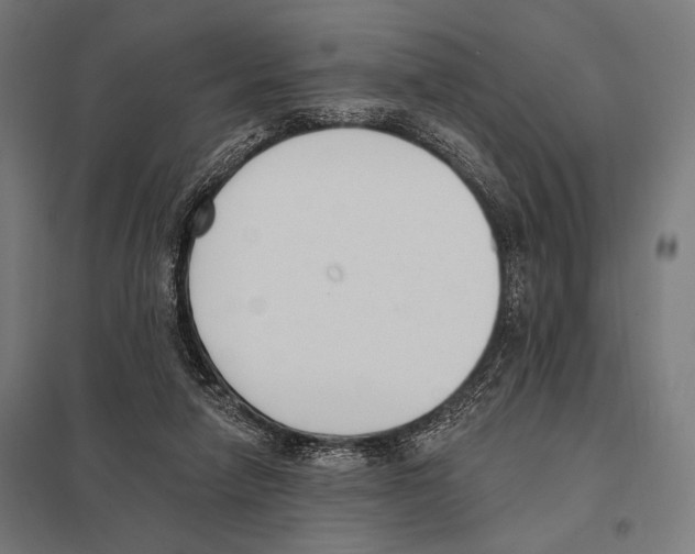 X0000097590258200803280934