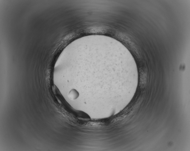 X0000097590260200803280934