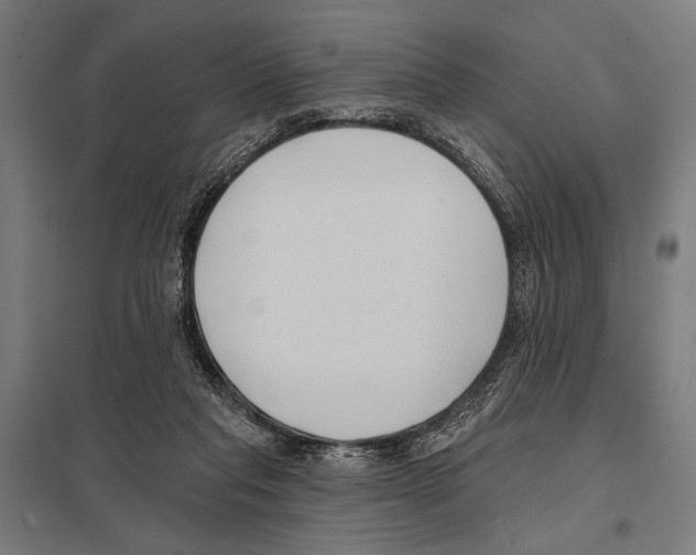 X0000097590261200803280934