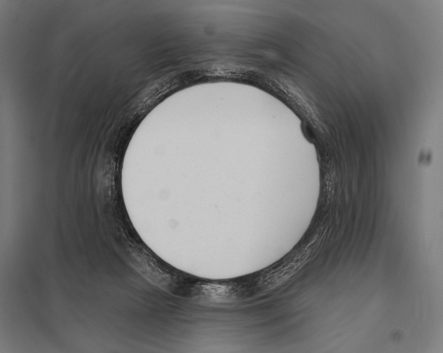 X0000097590265200803280934