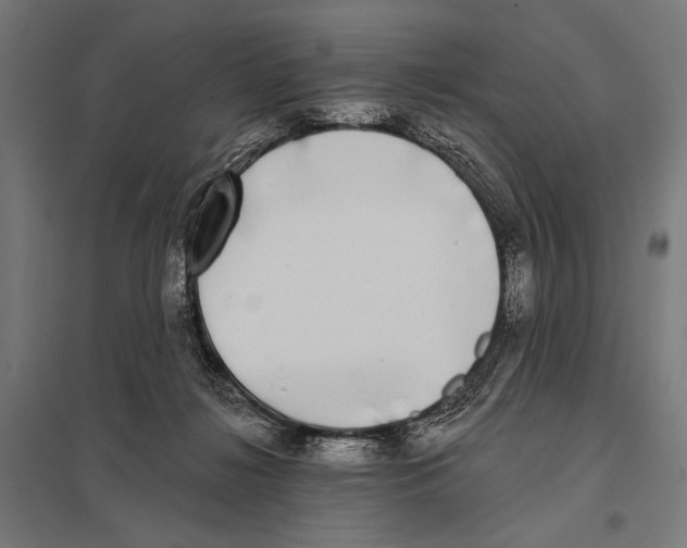 X0000097590268200803280935