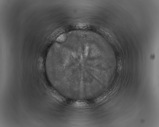 X0000097590270200803280935