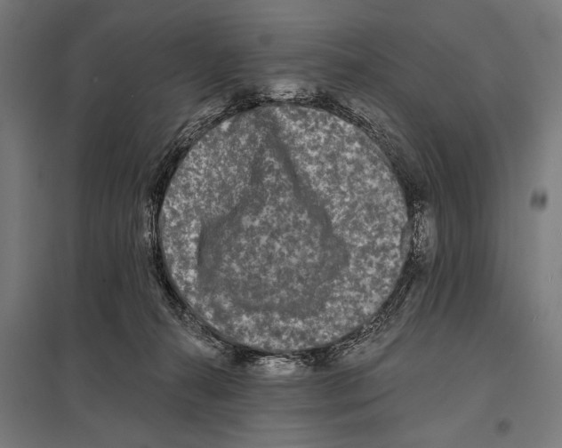 X0000097590272200803280935