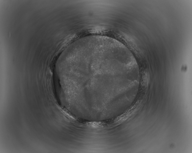 X0000097590273200803280935