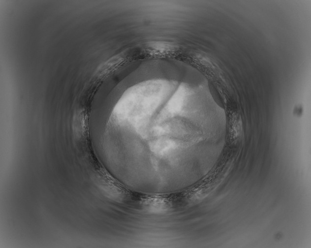 X0000097590276200803280935