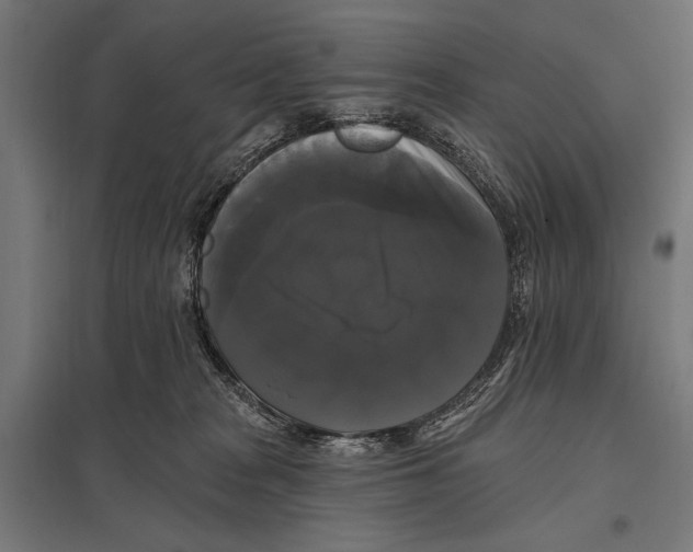 X0000097590277200803280935