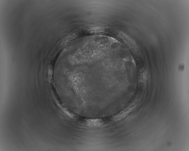 X0000097590281200803280935