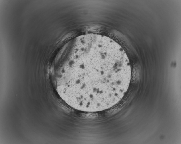 X0000097590282200803280935