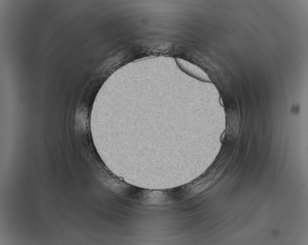 X0000097590287200803280935