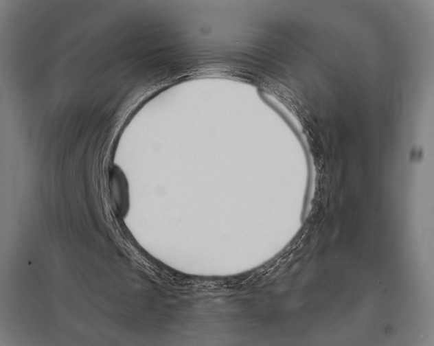 X0000097590289200803280934