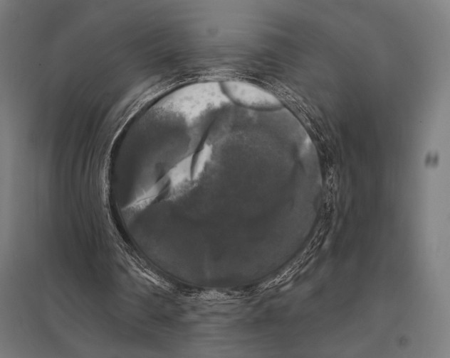 X0000097590290200803280934