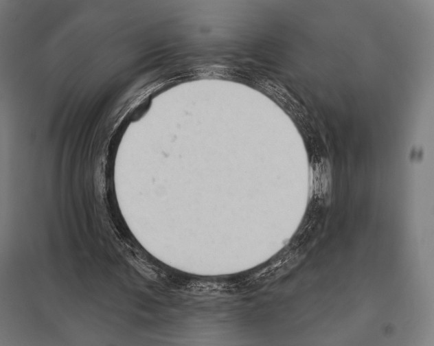 X0000097590291200803280934