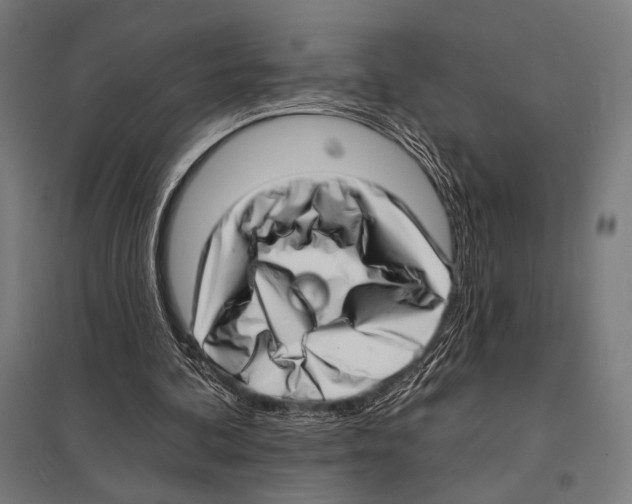 X0000097590292200803280934