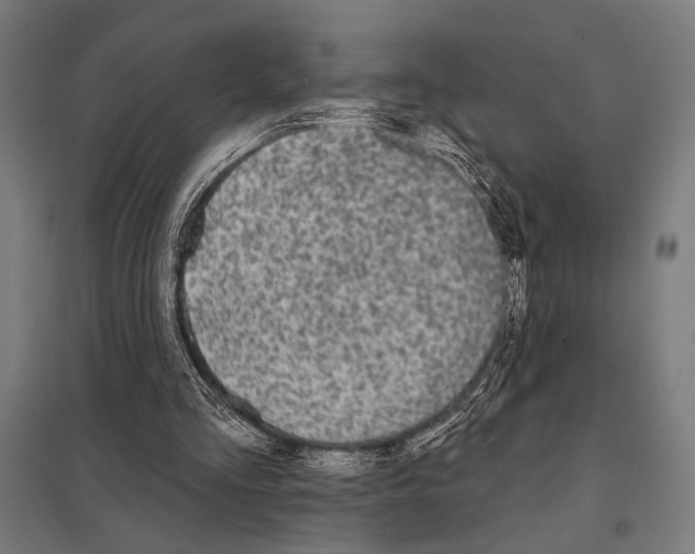 X0000097590293200803280934