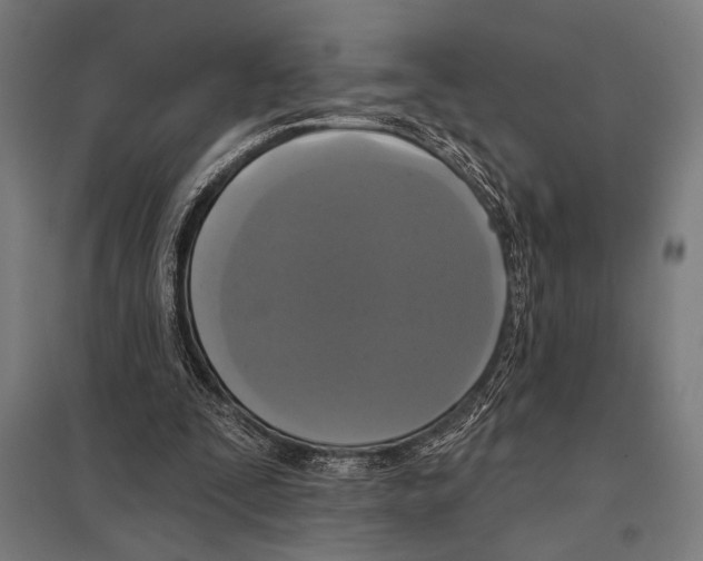 X0000097590295200803280934