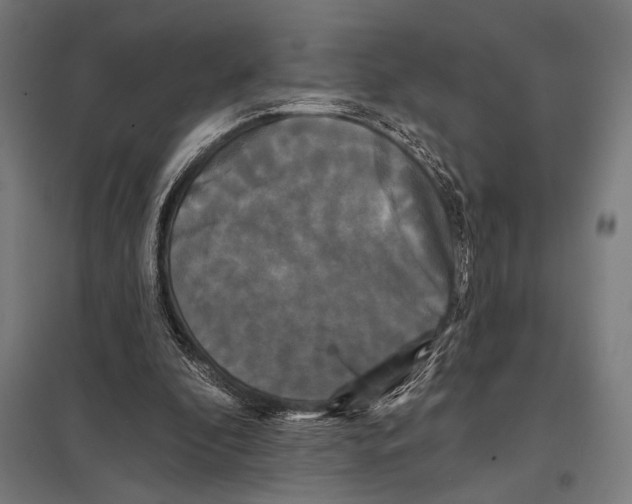 X0000097590296200803280934