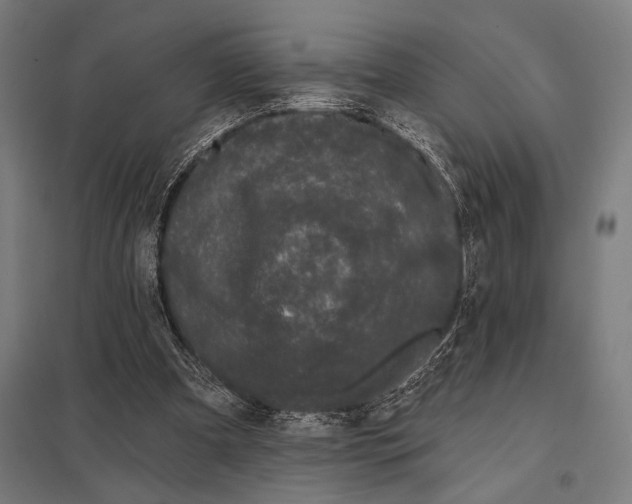 X0000097590297200803280934