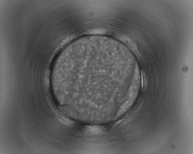 X0000097590300200803280934