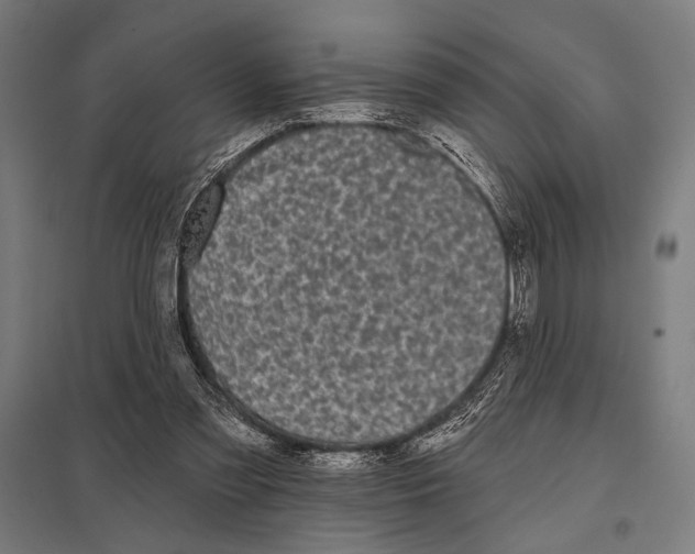 X0000097590301200803280934