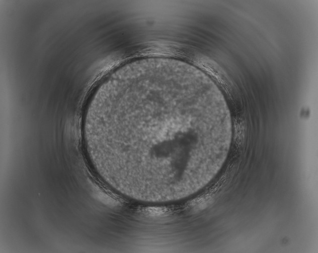 X0000097590302200803280934