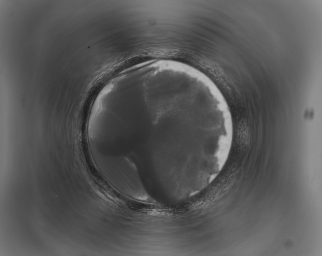 X0000097590303200803280934