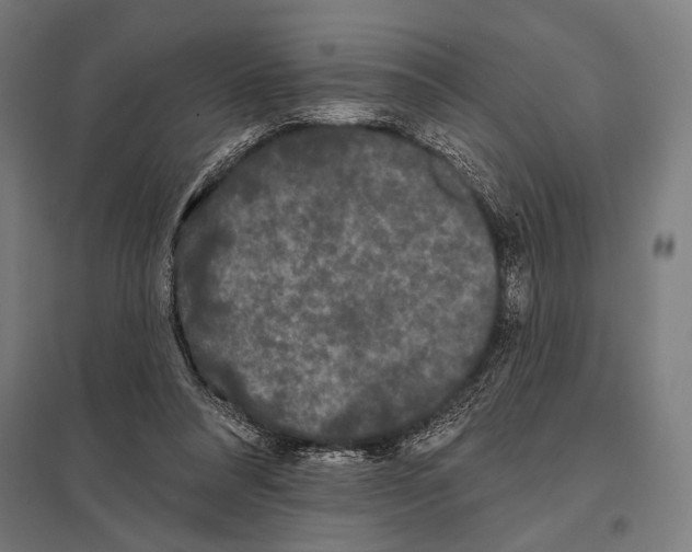 X0000097590304200803280934