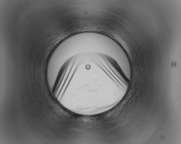 X0000097590305200803280934