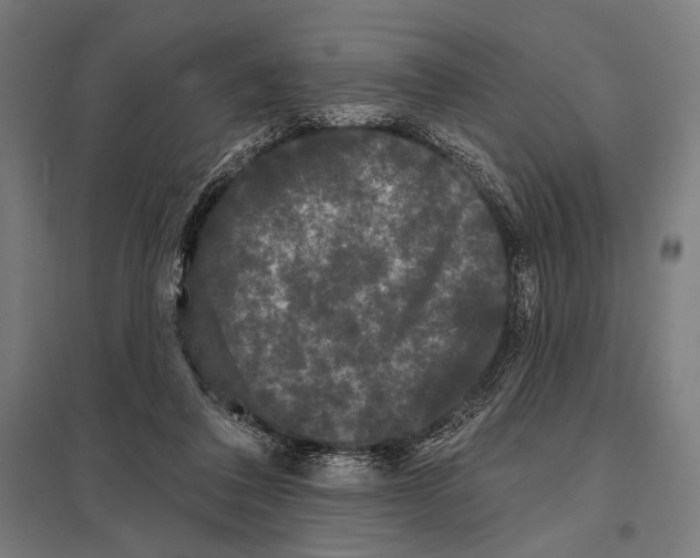 X0000097590308200803280934