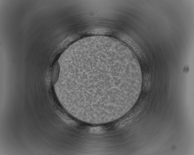 X0000097590309200803280934