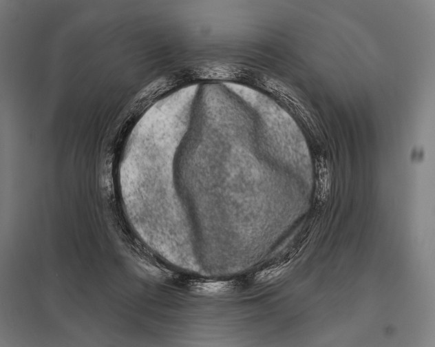 X0000097590312200803280934