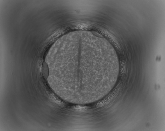 X0000097590313200803280934