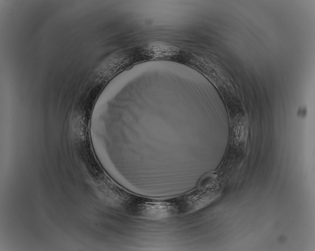 X0000097590316200803280934