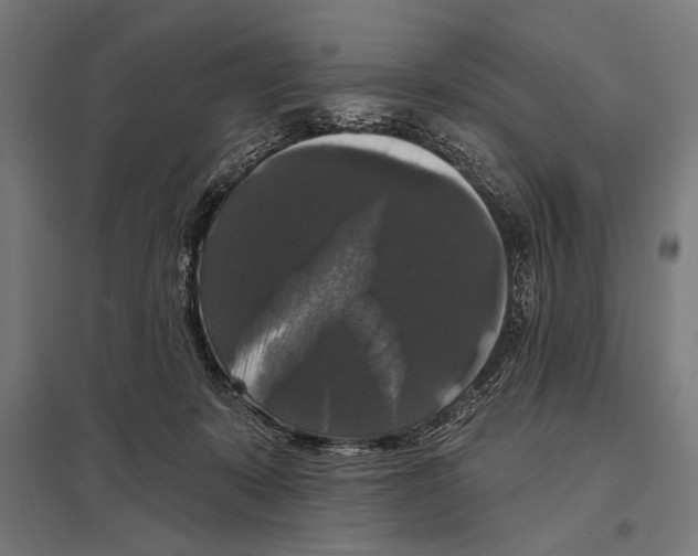 X0000097590319200803280934