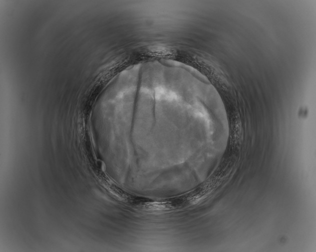 X0000097590320200803280934